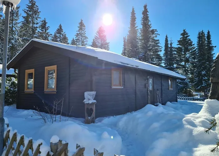 Tatil Evi Huettenflair Am Mit Kamin